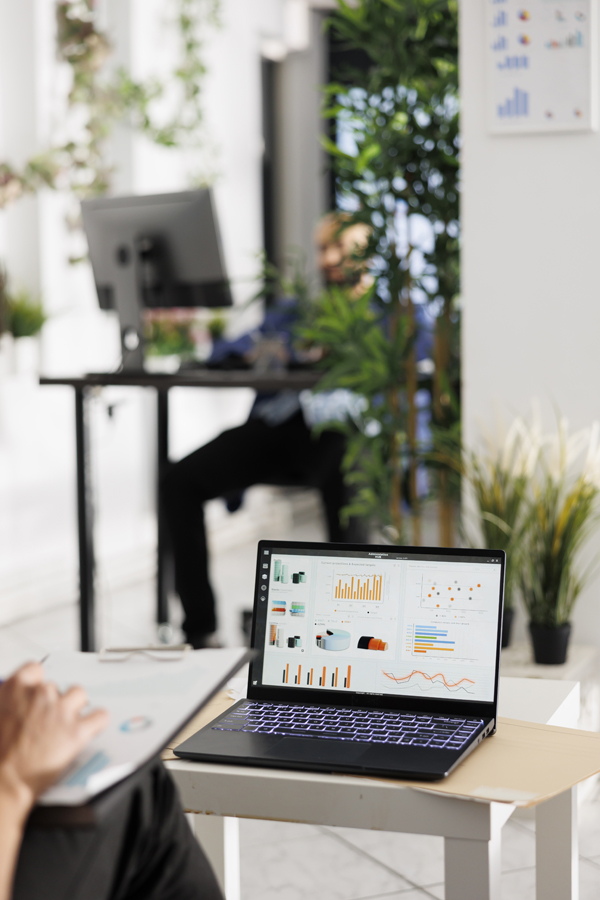 Employee Reviewing Sales Data On Laptop Screen, Budgeting Strategy